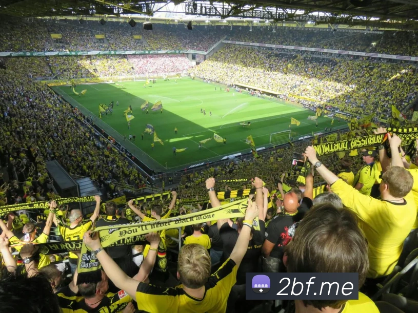 必发平台生态图